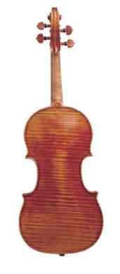 violin